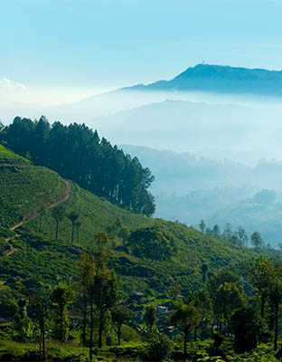 Sri Lanka 2