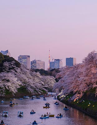 Japan 3